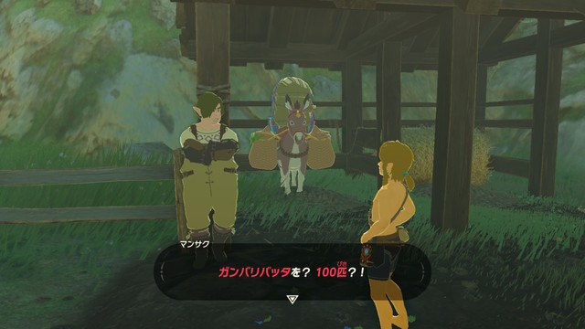 ゼルダｂｏｔｗ ミニチャレンジ 愛しの人が望む物 攻略 神囃子蓮のゆったりゲーム攻略